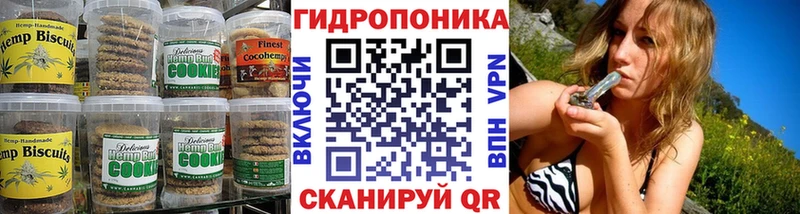 где продают наркотики  Щёлкино  Еда ТГК конопля 