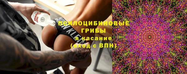 сатива Белоозёрский