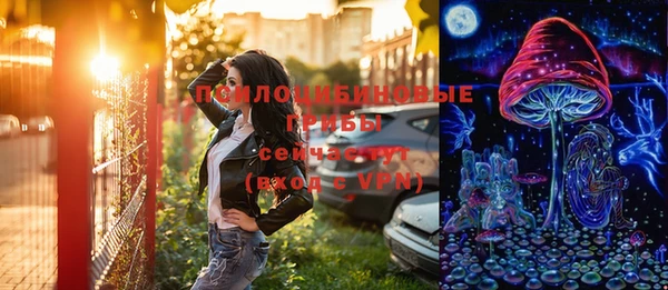2c-b Белокуриха