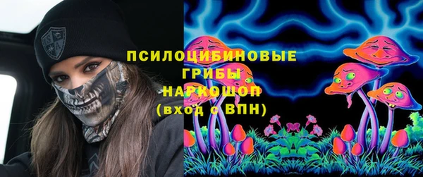 сатива Белоозёрский