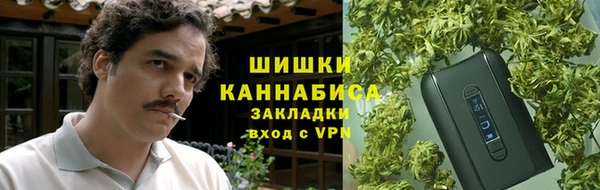 2c-b Белокуриха