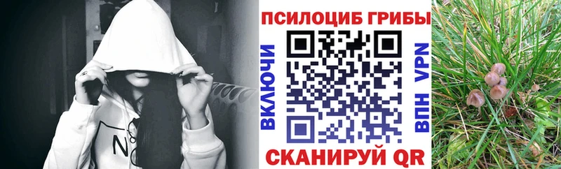 hydra как зайти  Щёлкино  Галлюциногенные грибы прущие грибы  наркотики 